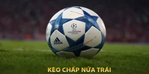 Kèo Chấp 1/2 Là Gì? Quy Định Chơi Handicap Nửa Trái Cơ Bản