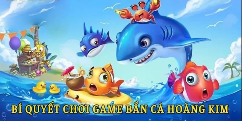 Mẹo săn cá hoàng kim hấp dẫn từ chuyên gia chia sẻ