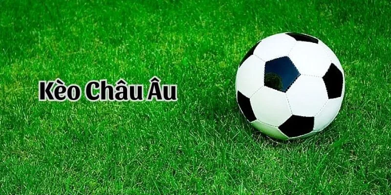 Hướng dẫn đọc cược châu Âu cho tân thủ