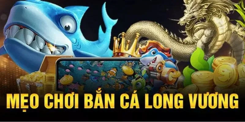 Bí kíp săn mồi hiệu quả để nhận nhiều điểm thưởng nhất
