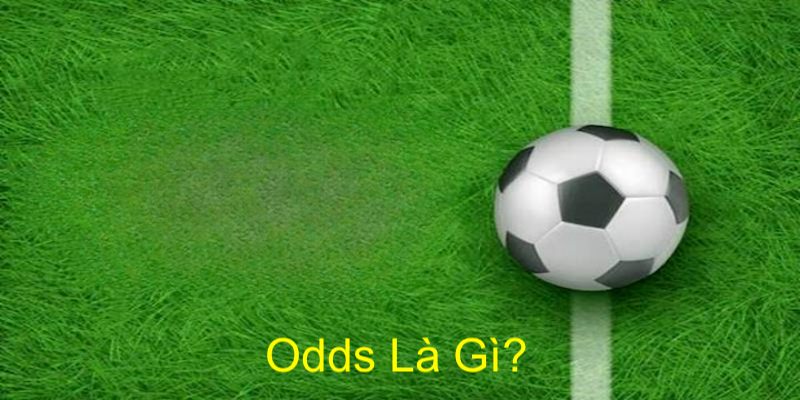 Thông tin cơ bản cần biết về cách soi Odds tại SUNWIN