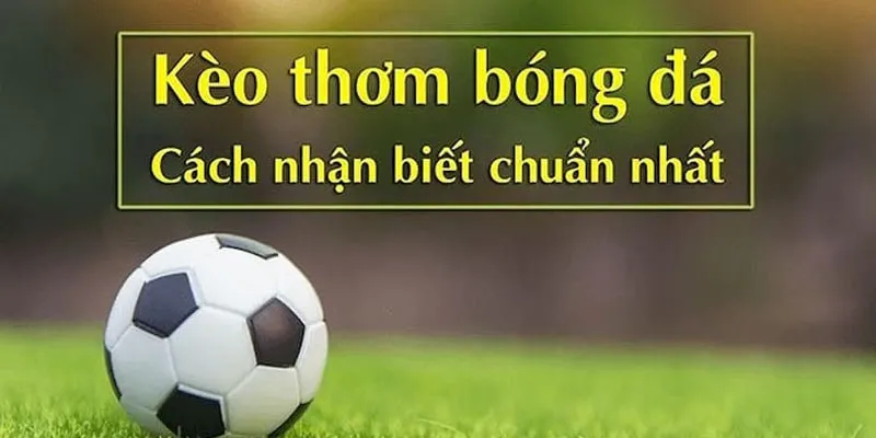 Cược tỷ lệ cá độ hấp dẫn bằng những thủ thuật đơn giản